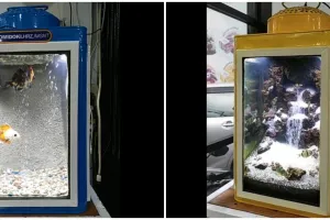 Pemilik ikan hias ubah kaleng kerupuk jadi akuarium, idenya kreatif