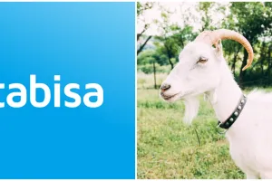 5 Cara kurban online lewat Kitabisa, praktis dan antiribet 