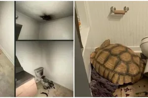 11 Momen nggak biasa di toilet, penampakannya bikin kaget