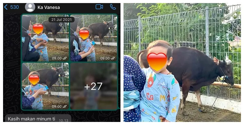 Fuji kurban sapi © Instagram/@fuji_an