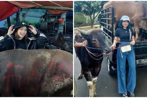 Beli 2 sapi, Fuji turut berkurban untuk mendiang Vanessa Angel & Bibi
