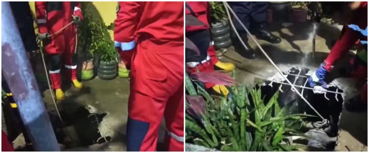 Sapi kurban jatuh ke drainase, momen evakuasinya bikin deg-degan