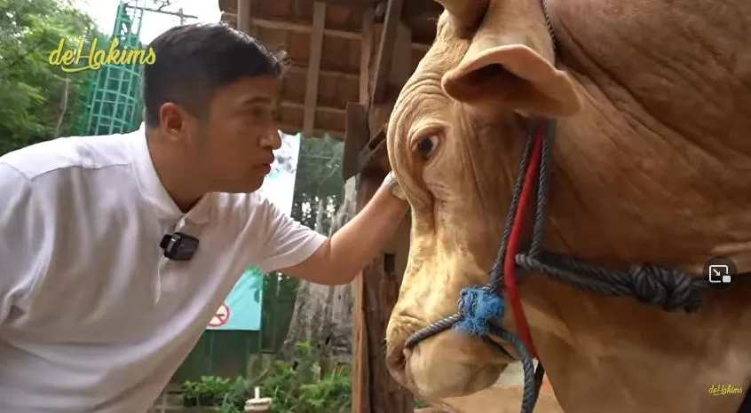 perlakuan istimewa Irfan Hakim pada hewan kurban © 2022 brilio.net perlakuan istimewa Irfan Hakim pada hewan kurban © 2022 brilio.net