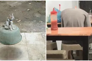 13 Potret lucu bikin orang terkecoh ini harus dilihat dua kali