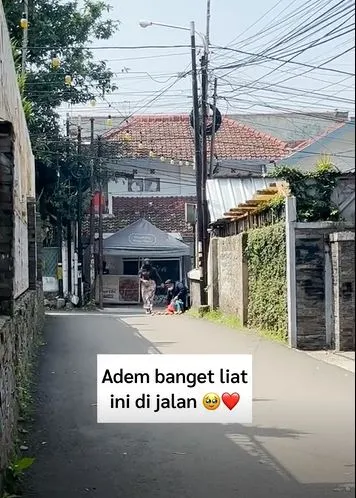 Momen wanita berhijab tolong biarawati Berbagai sumber