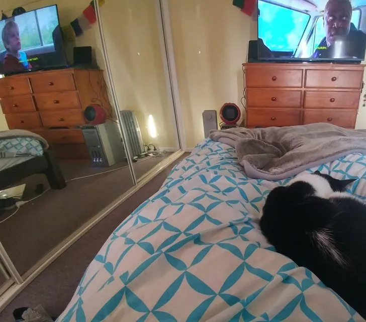 dunia mirip the matrix © berbagai sumber