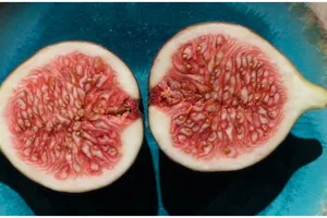 10 Buah ini ampuh bantu hilangkan mual saat asam lambung kambuh