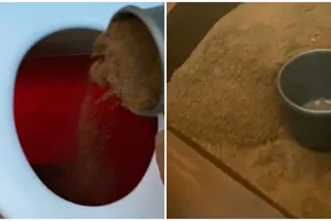 Momen pria pertama kali gunakan toilet pasir ini unik banget