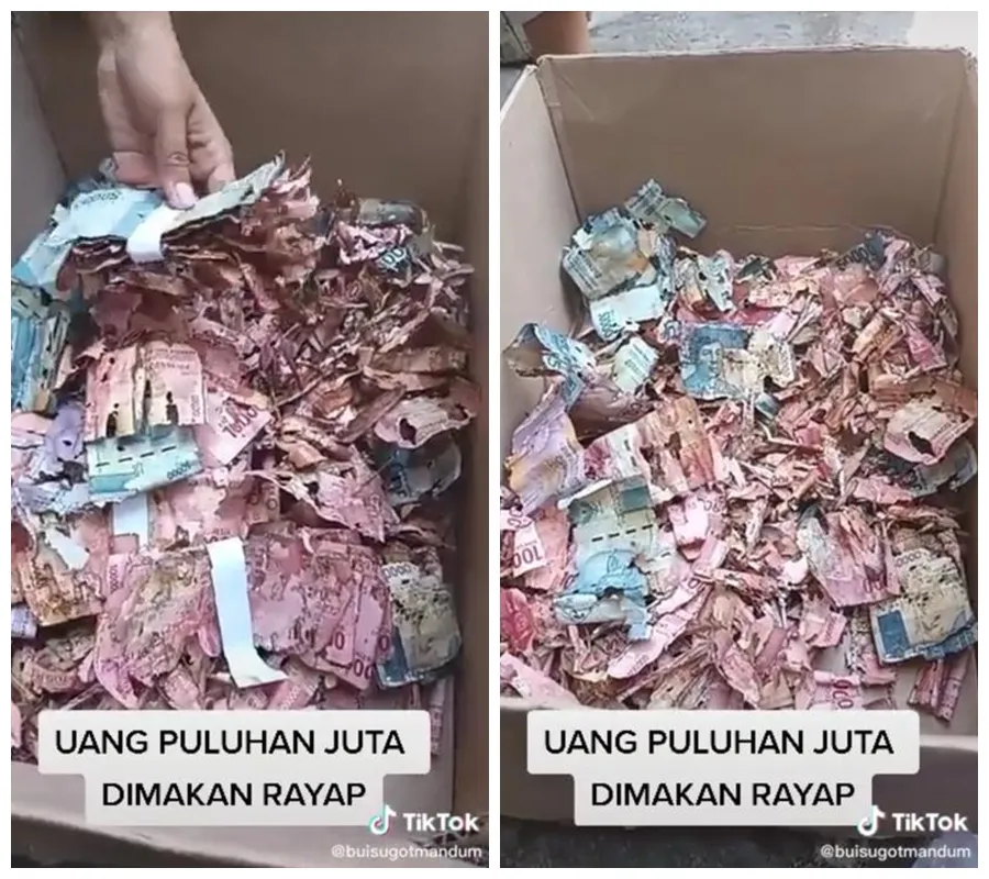 tabungan haji penjaga sekolah dimakan rayap © TikTok/@buisugotmandum