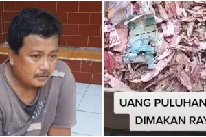 Tabungan haji penjaga sekolah diganti BI, petugas susun serpihan uang