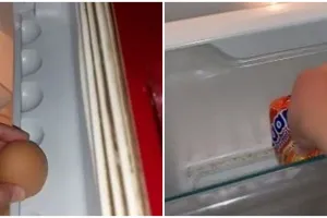 Bikin ASMR refill isi kulkas, aksi cewek ini bak mewakili warganet