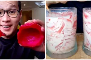 Tak banyak yang tahu, ini 5 cara bikin minuman dari kulit buah naga