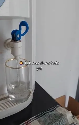 Wanita temukan kecoa pada dispensernya TikTok