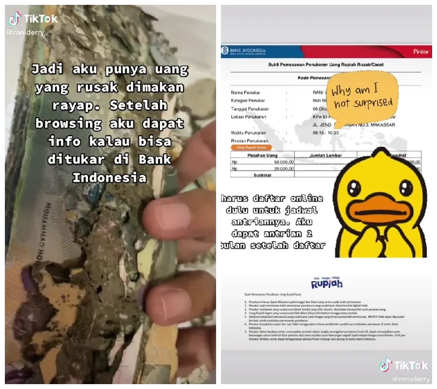 penukaran uang rusak rayap © TikTok/@raniynsh penukaran uang rusak rayap © TikTok/@raniynsh