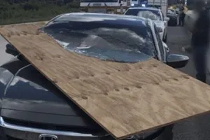 17 Momen lucu mobil ketiban benda tak terduga, bikin gigit jari