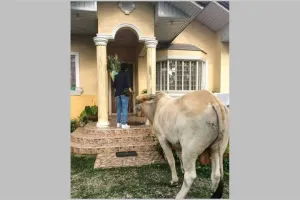 11 Momen lucu cowok mau ngasih kejutan, bawa hadiah tak terduga