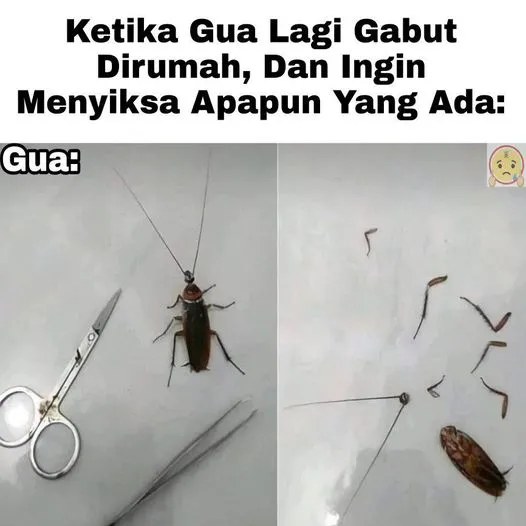 kegiatan unfaedah © berbagai sumber kegiatan unfaedah © berbagai sumber