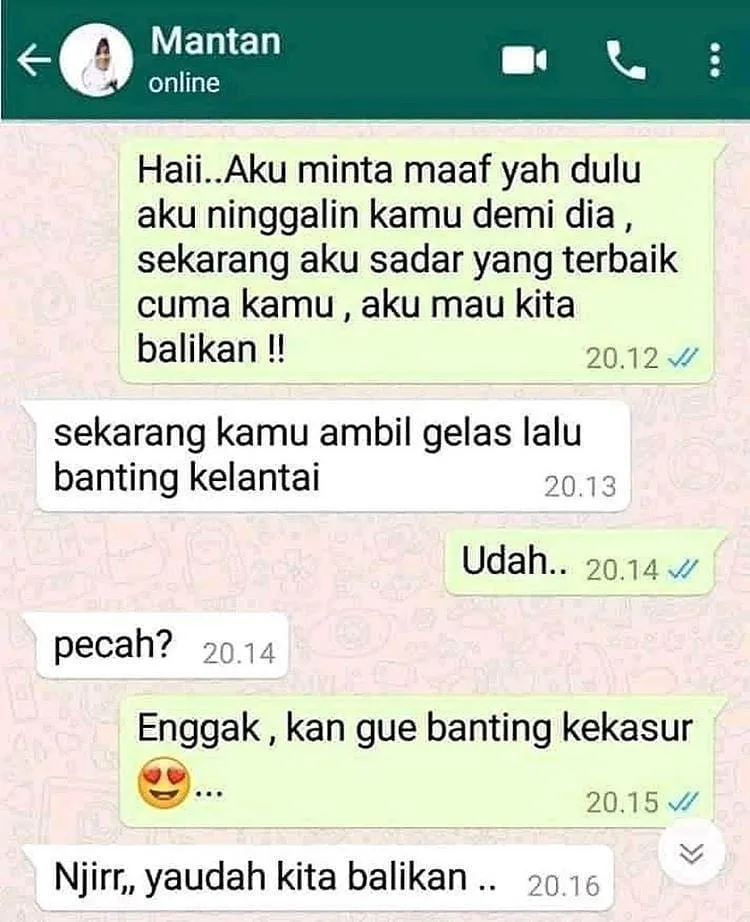 chat WA ajak balikan kocak abis © berbagai sumber