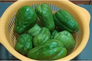 Cara simpan labu siam tanpa kulkas, tetap segar hingga satu minggu