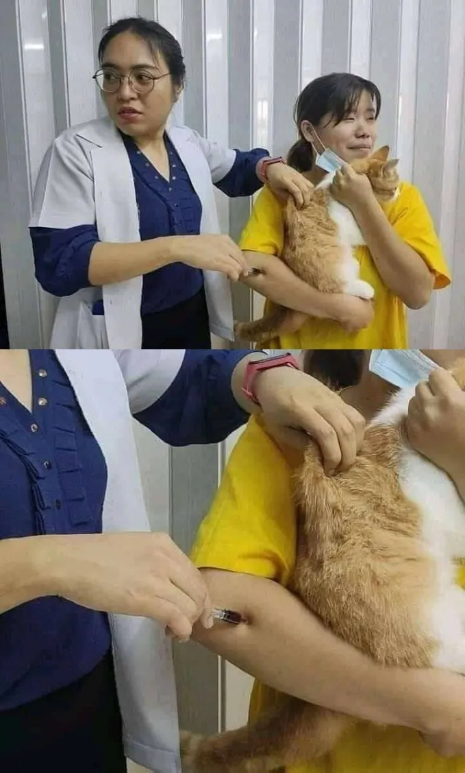 apes akibat teledor © berbagai sumber apes akibat teledor © berbagai sumber