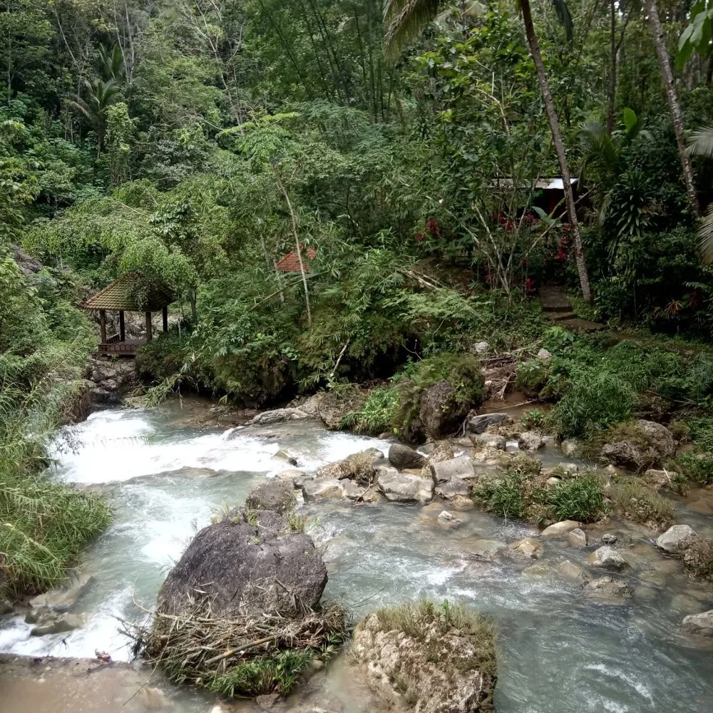 Taman Sidandang istimewa Taman Sidandang istimewa