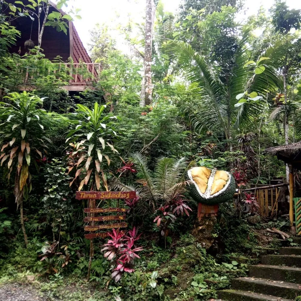 Taman Sidandang istimewa Taman Sidandang istimewa