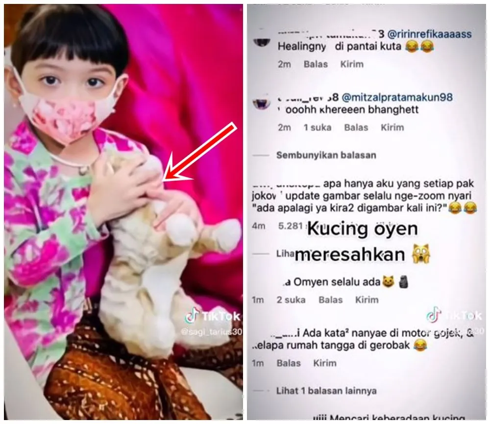 kucing oren muncul di postingan foto jokowi © berbagai sumber