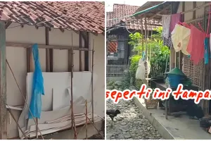 Rumah triplek ini tampak sederhana dari luar tapi dalamnya bikin takjub, intip 9 potretnya