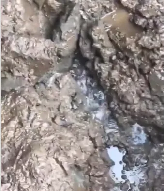 mata air dekat makam Eril © 2023 brilio.net mata air dekat makam Eril © 2023 brilio.net