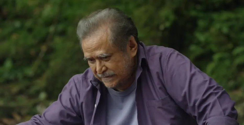 Fakta menarik Katrsis © Vidio