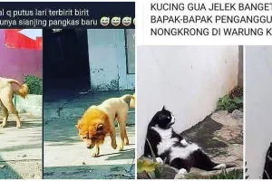 9 Status kocak tentang hewan di jalan ini kasihan tapi bikin ngakak