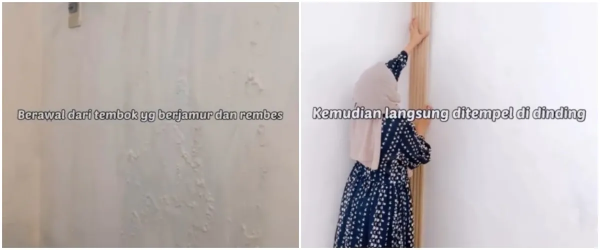 Tanpa perlu repot dicat ulang, begini tips atasi tembok lembap dan berjamur jadi makin cantik