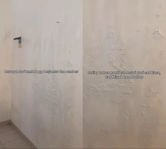 tips atasi tembok lembap dan berjamur © TikTok tips atasi tembok lembap dan berjamur © TikTok