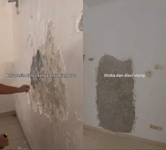 tips atasi tembok lembap dan berjamur © TikTok tips atasi tembok lembap dan berjamur © TikTok