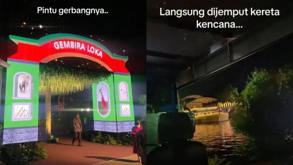 pernikahan anak bos kebun binatang © TikTok