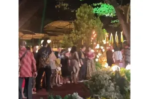 Konsep mewah bin unik pernikahan anak bos kebun binatang, bisa sambil ngasih makan hewan