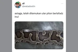 11 Potret kebetulan pada hewan ini unik banget, jangan sampai masuk grup WA keluarga