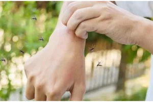 Pudar dalam seminggu, begini trik hilangkan noda hitam akibat gigitan nyamuk hanya pakai 1 jenis buah