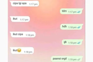 11 Chat lucu orang PDKT ini tunjukkan usaha bisa mengkhianati hasil, silakan menjomblo lagi