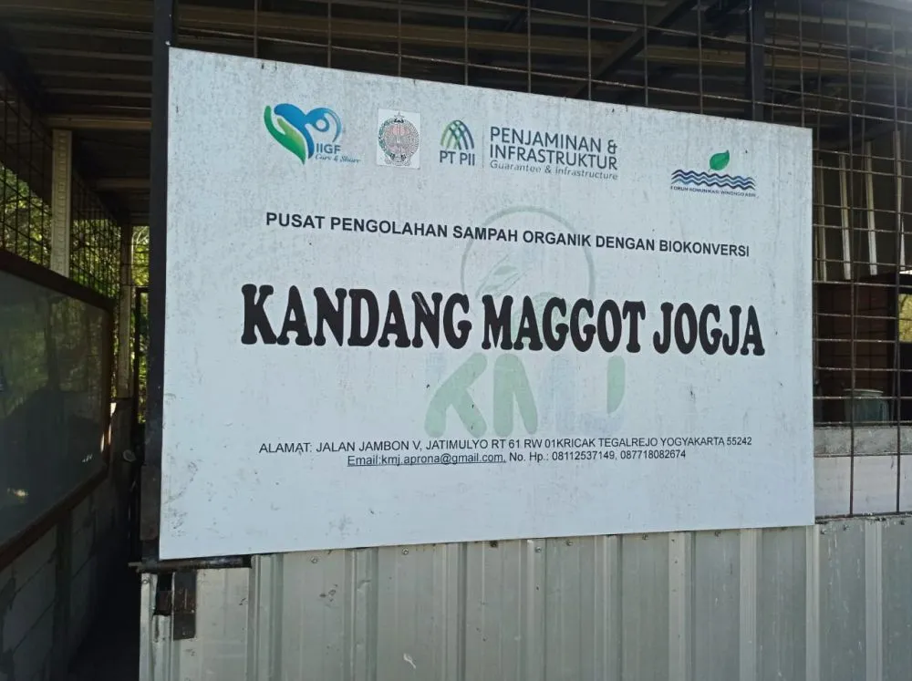 kandang maggot jogja © 2023 brilio.net kandang maggot jogja © 2023 brilio.net