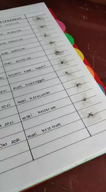 Potret kocak koleksi benda nggak penting Berbagai sumber