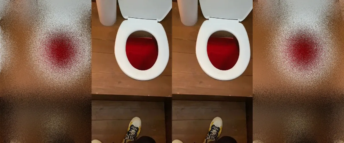 Desain jamban ini biasa saja, tapi cara pakainya terlampau mindblowing, berasa cosplay jadi kucing