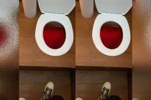 Desain jamban ini biasa saja, tapi cara pakainya terlampau mindblowing, berasa cosplay jadi kucing