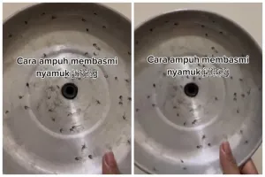 Cara unik bikin raket pembasmi nyamuk ala warganet ini sederhana cuma pakai 1 alat dan bahan dapur
