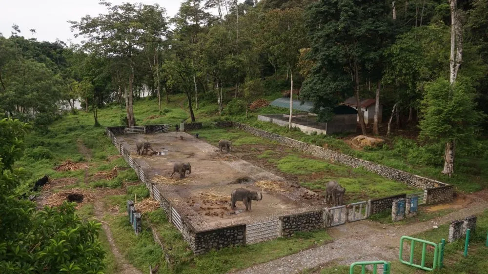 liputan di Tangkahan © 2023 brilio.net liputan di Tangkahan © 2023 brilio.net