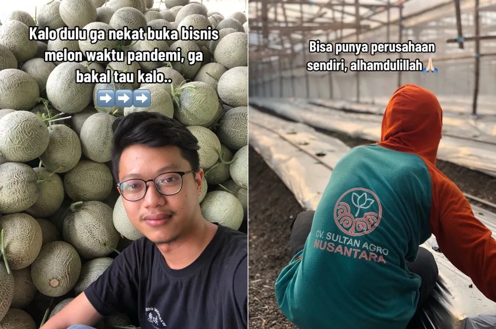 petani melon muda © TikTok