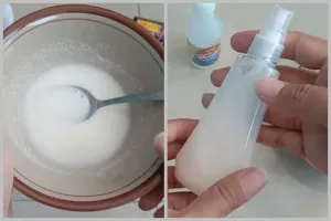 Tak perlu repot buat perangkap, ini cara ampuh mengusir kecoak cuma pakai 1 bahan dapur