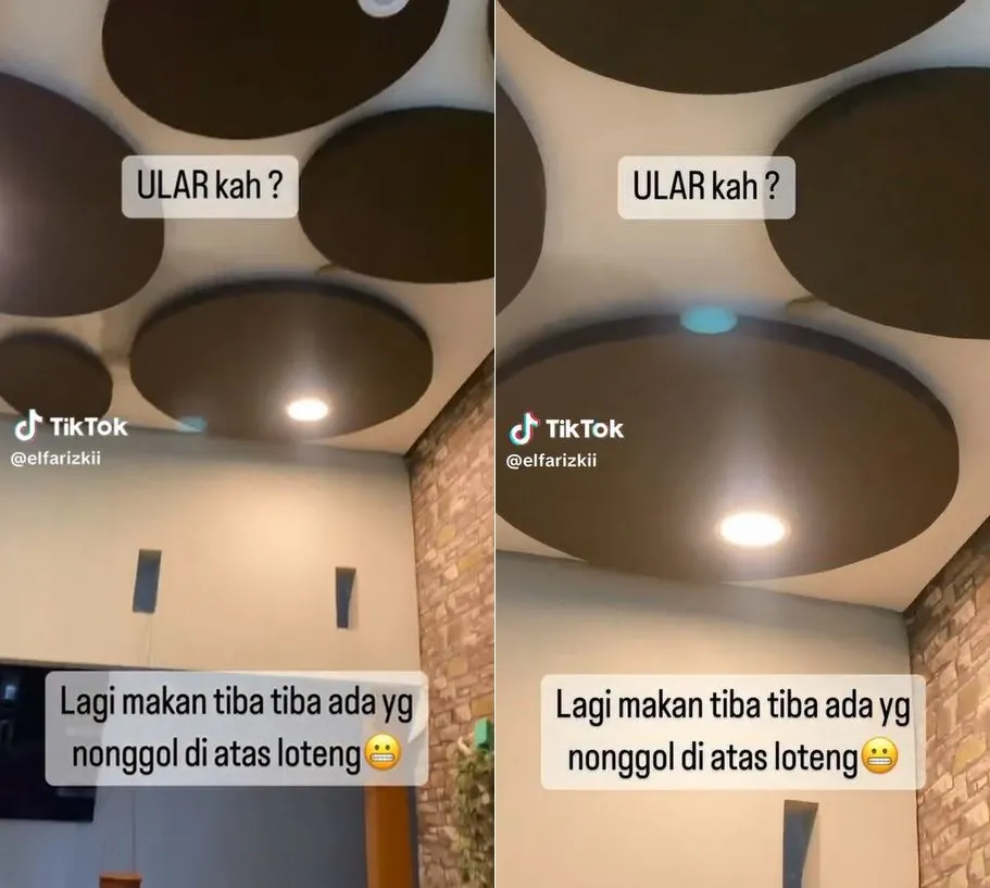 damkar ular © TikTok damkar ular © TikTok
