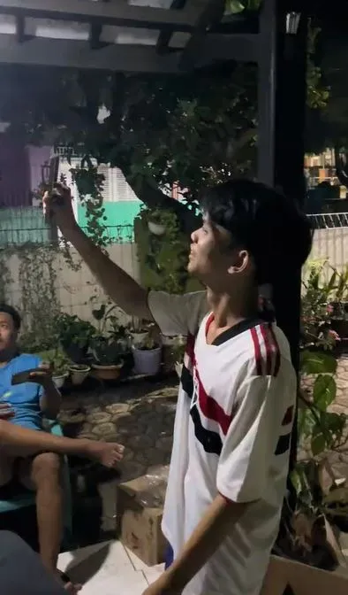 momen kocak cowok kendalikan laron TikTok