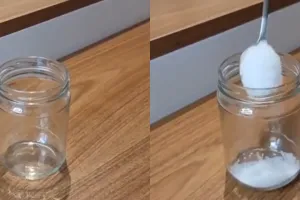 Tanpa obat semprot serangga, ini trik mudah usir nyamuk dan lalat pakai tambahan satu jenis minyak